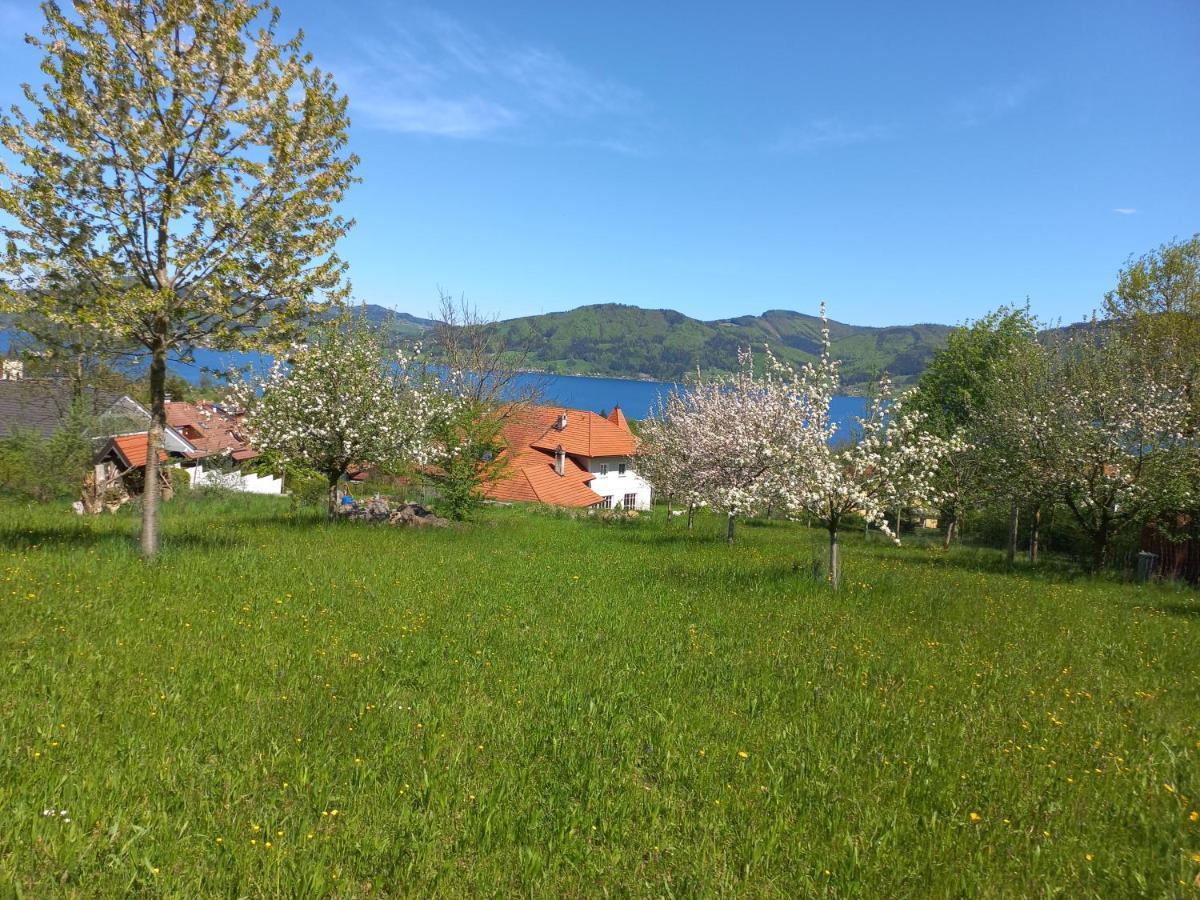 Attersee Gartenvilla Nussdorf am Attersee Esterno foto